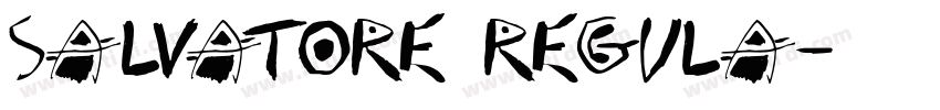 Salvatore Regula字体转换